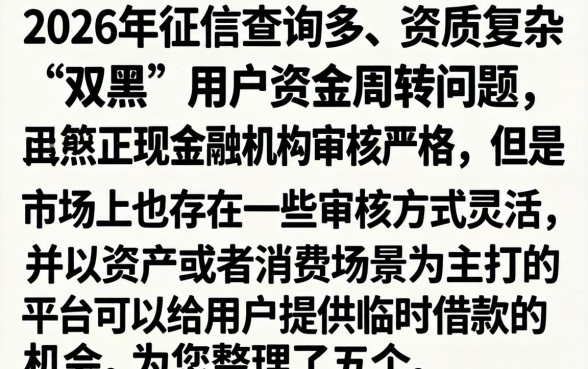2026双黑能下款的口子,概括5个审贷口子审核加快的平台
