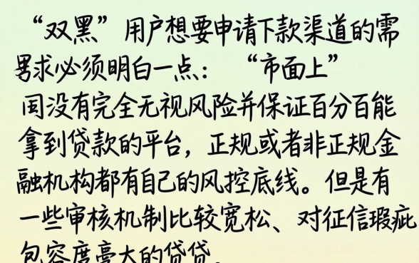 双黑可以下款下的口子，甄选五个无视一切包下款5000秒下款的平台