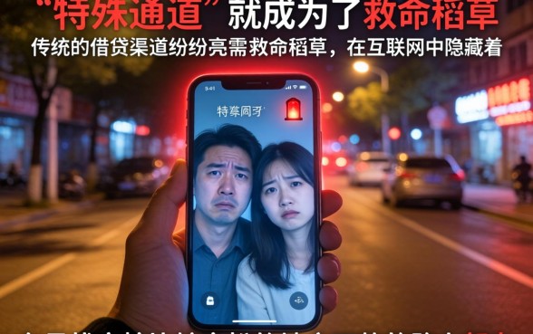 个人贷款平台中,遴选五个无视逾期大数据花户黑户口子