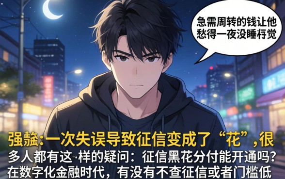 征信黑花了分付可以开通吗，深入剖析五个手机身份证秒借现金的软件