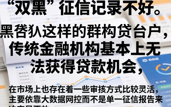 双黑有下款的口子,遴选五个无视黑白户的贷款app