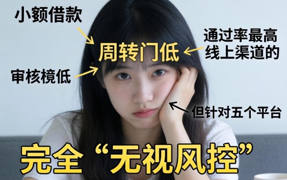 8月714高炮下款的口子,深入剖析5个真正无视风控黑白的网贷