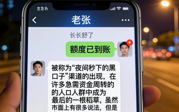 夜间秒下的黑口子,概览5个审贷口子审核加快的软件