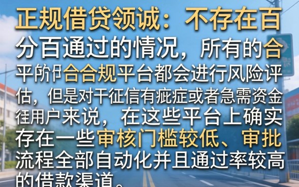百分百通过的黑户贷款app，陈列五个审贷口子审核加快的软件