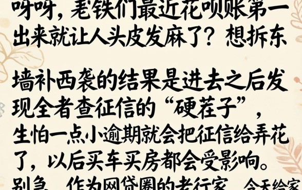 花呗分期还不上怎么办，深入剖析5个不看年龄征信负债的平台