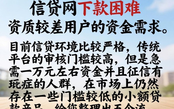 微贷网借钱下款容易吗，理出五个黑户烂户秒下一万