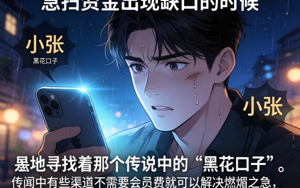 黑花口子不需要会员费，倾情分享5个新号易贷速审秒下款app