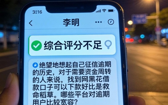 网黑花借款口子能下款的，深入剖析五个逾期太多能下款平台