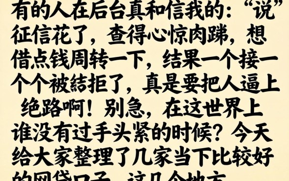 能分期下款的大口子，汇总五个7月能贷款的app