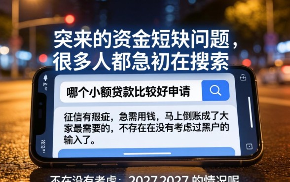 哪个小额贷款最好申请成功，深入剖析五个无视黑户秒下款的口子