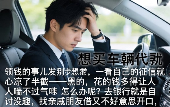 征信黑花了买车怎么办，整理5个可以借钱不用审核的平台