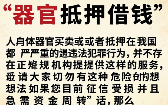 器官抵押借钱电联，热忱推荐5个黑户可以下的贷款平台