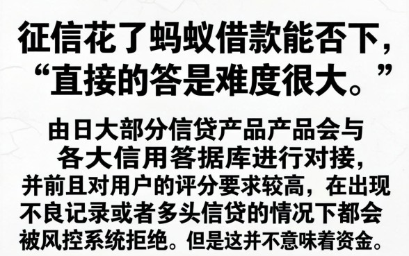 征信花了蚂蚁借款能下吗，细致阐述五个借钱平台不看综合评估的平台