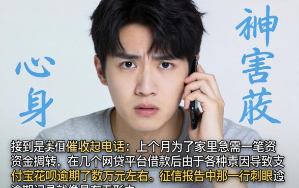 临沂不上征信的借款吗，归集五个支付宝花呗逾期万元快速贷款app