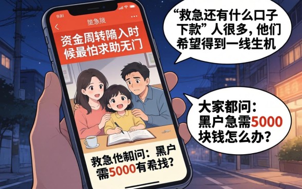 救急还有什么口子下款，深入剖析5个急用钱5000快审快贷无需征信平台