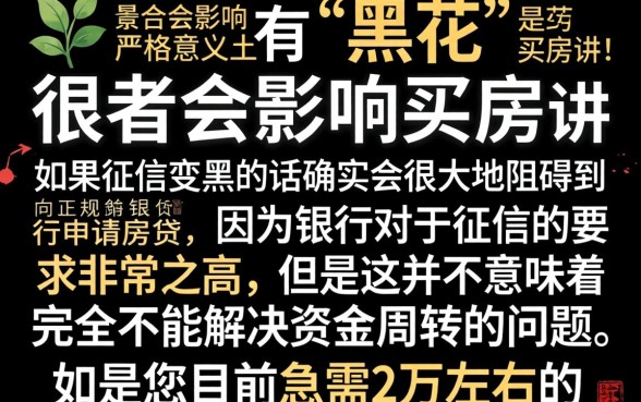 征信黑花了真的不能买房吗，整理五个黑户借2万元秒下网贷口子app