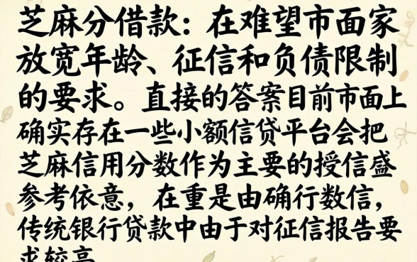 哪个app可以用芝麻分借款，概括五个不看年龄征信负债的口子
