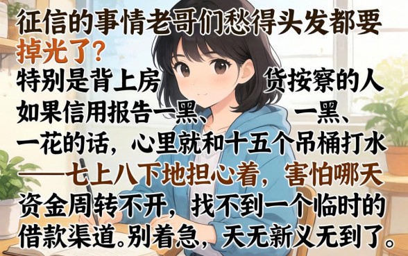 按揭期间征信黑花了怎么办，详尽说明五个看银行流水的网贷口子