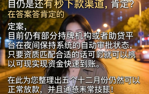 晚上有秒下的口子吗，细致阐述5个12月能贷款的口子