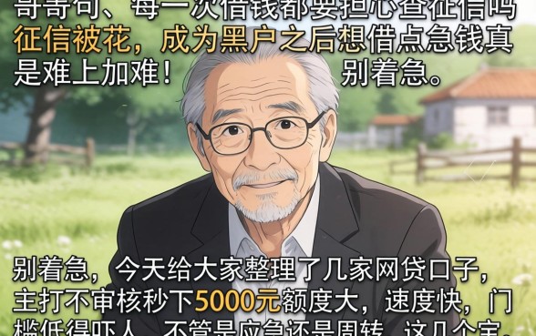 不审核秒下5000的口子,归纳5个轻松借款无压力app