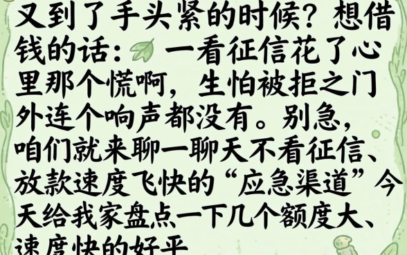 指尖贷下款过程顺利吗，汇整5个无视黑白无视征信申请就下款的平台