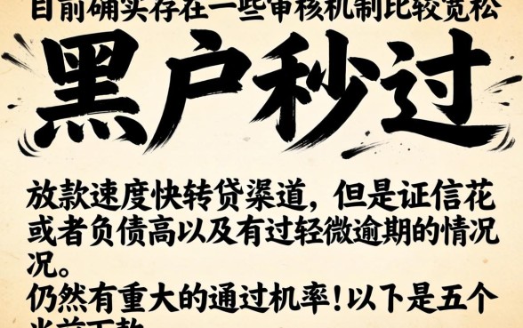 当下下户秒过的小额贷款口子，整理5个黑户可以做大额贷款app
