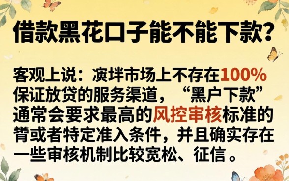 借款黑花口子真的能下款吗，详尽说明五个黑户可快速办理小额贷款业务的软件