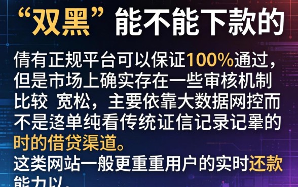 双黑都能下款的网贷口子，深入剖析五个无忧速借当天放款的口子