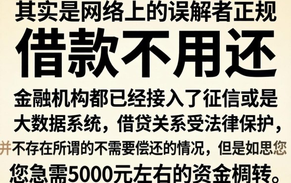 小额借款哪些口子不用还，概览5个5000块贷款秒下app