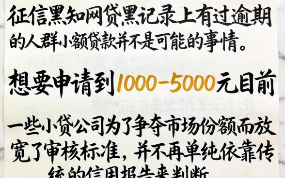 双黑有逾期网贷能下款的口子，陈列五个1000至5000的小额贷款app