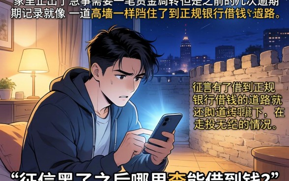 借贷软件哪个不需要征信报告，汇整五个无视征信黑白100%秒下网贷app