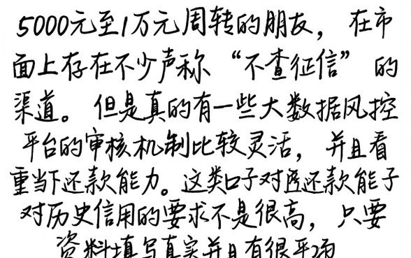 5000到1万容易下款的口子,归集5个小额贷款不查征信的口子