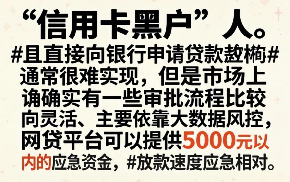 信用卡黑户能网贷口子，揭秘五个5000块贷款秒下口子