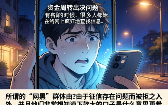 下款大的口子是什么意思，陈列五个网黑真正能下款的口子