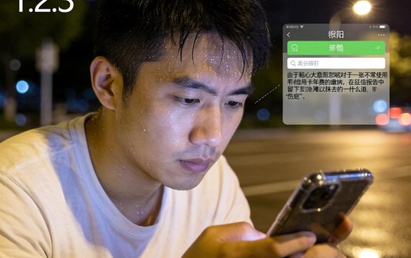 征信花了怎么判定逾期了，鼎力推荐5个网贷口子风控不严的软件