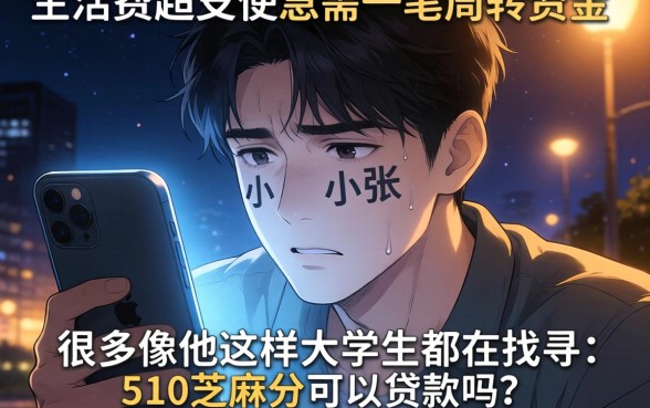 510芝麻分能不能贷款,细致阐述5个大学生可以使用的口子