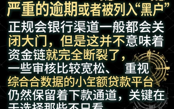 征信黑了怎么才能借到钱，鼎力推荐5个黑户能下款的平台
