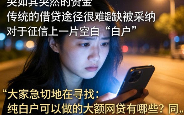 纯白户能做的大额网贷有哪些，汇总5个714无视逾期秒下的平台