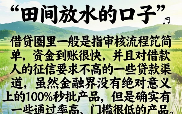 田间放水的口子叫什么，概括五个借款无视黑白100%秒过