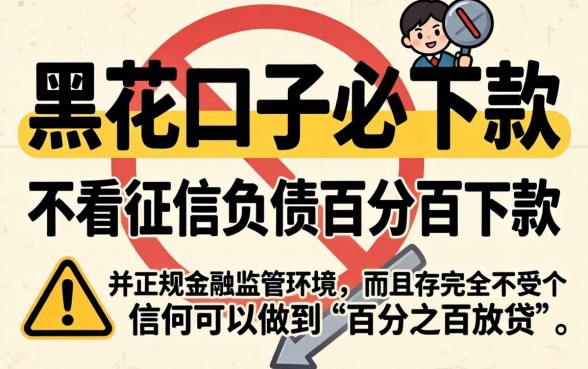 黑花口子必下款app下载，规整五个不看征信负债的网贷百分百下款平台