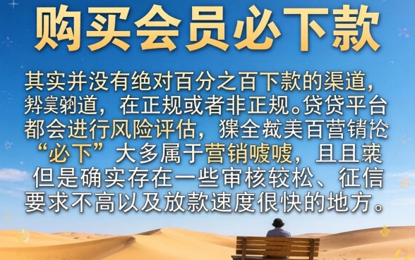 购买会员必下款什么口子，精选五个审贷口子审核加快的app