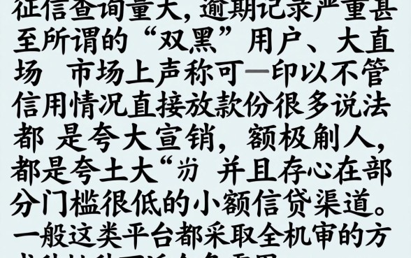 双黑逾期中全机审秒下的口子，深入剖析5个看银行流水的网贷口子