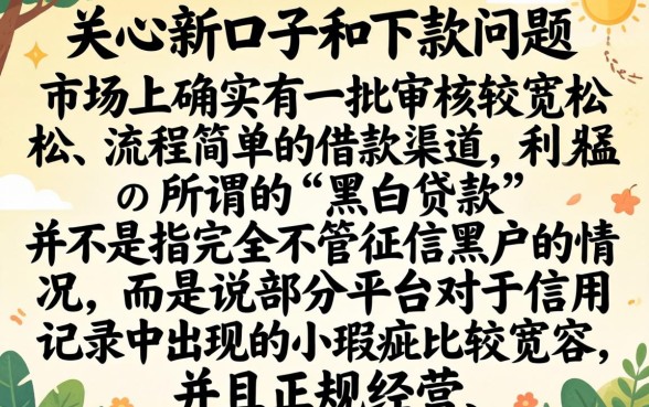 有什么新口子能下款的，概览5个黑白贷款不是高炮的口子