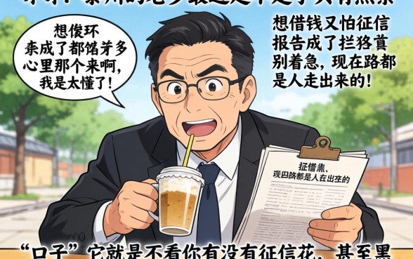泰州不看征信的借款有吗，概览5个不看征信无视黑白百分百下款网贷平台