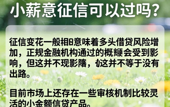 小薪意征信花了好通过吗，甄选五个1000至5000的小额贷款软件