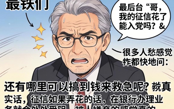 征信花了能入党吗，条列五个审贷口子审核加快的app
