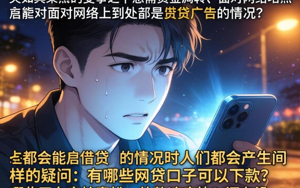 能下款的网贷口子解答，深入剖析五个靠谱借钱的网贷平台