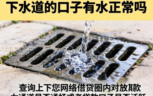 下水道的口子有水正常吗，整理五个最新秒批小额贷款app