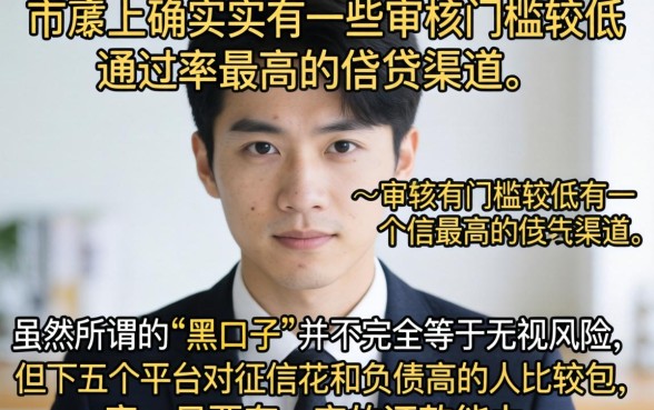 有哪些能下款的黑口子，精选5个黑户可以下的贷款app