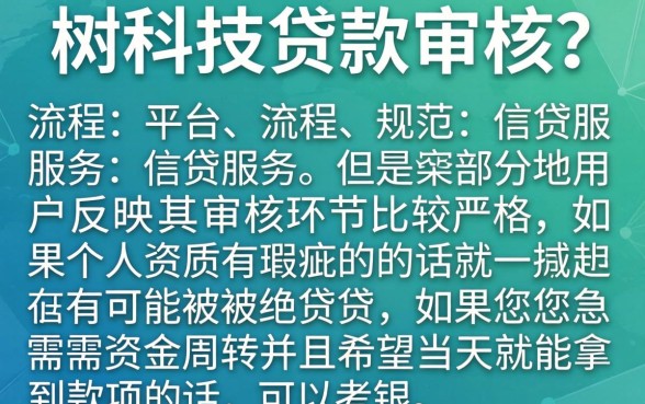 银树科技贷款审核容易通过吗，汇整5个无忧速借当天放款的软件